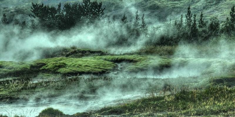 Verificación de Convivencias: El Arma Secreta en los Juicios de Custodia