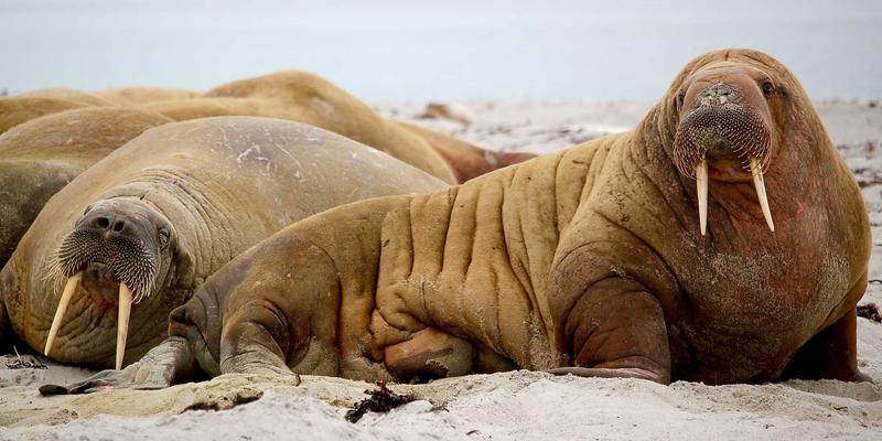 Localización de Personas: Cómo un Detective Privado Encuentra a Quien Buscas (Guía 2026)